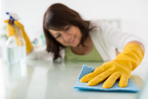 Team member reviewing a carpet cleaning risk assessment checklist